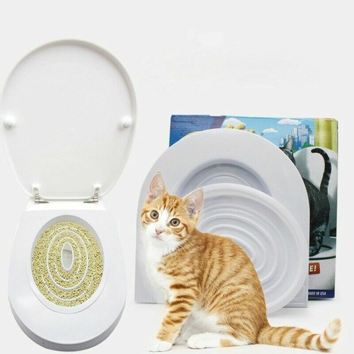 Hygienic cat kitten trainer - cat,