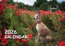 2026 Just Whippets Rescue Calendar