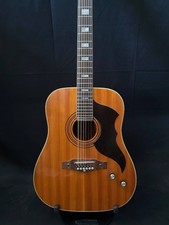Modified Eko Ranger 12-String
