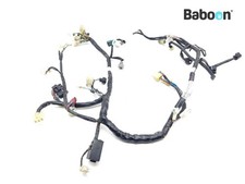 Wiring harness yamaha - wiring, (main)