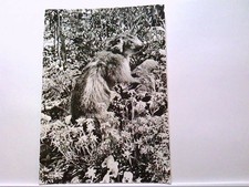 Postcard Alpes / France