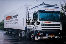 Truck photo DAF 95 430 ATI