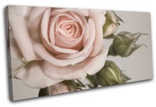 Rose shabby chic  Vintage