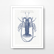 LOBSTER ILLUSTRATION SEASIDE
