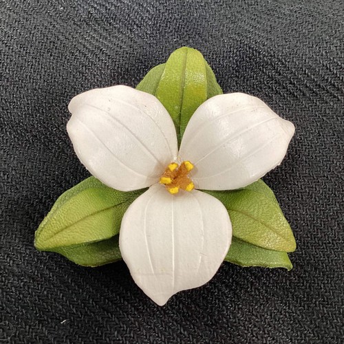Trillium ontario floral emblem - trillium,