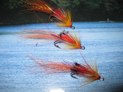 Fly size 9 - 9, ultimate
