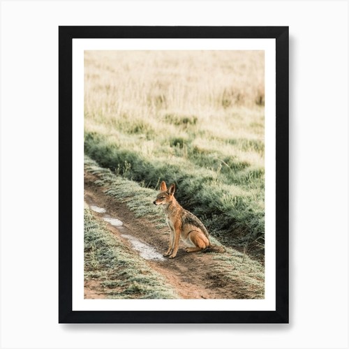 Coyote field art print - coyote, in