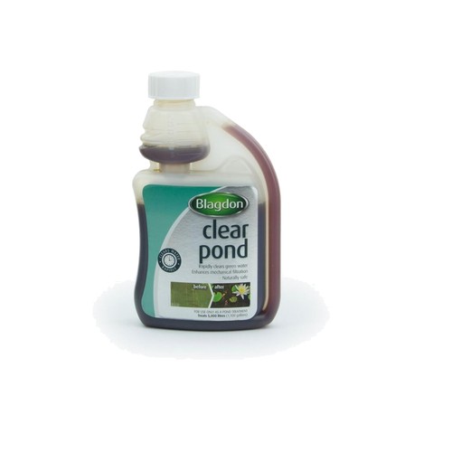 Blagdon clear pond - clear,