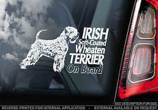 Irish Soft-Coated Wheaten