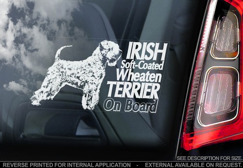 Irish soft coated wheaten - irish,
