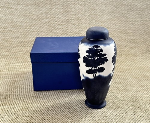 Boxed blue ivory - boxed, scenery