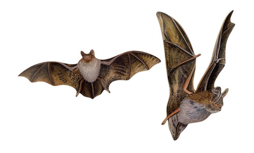 Bat plaque set bats - bat,