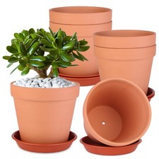 6 Pack 6 Inch Terracotta &