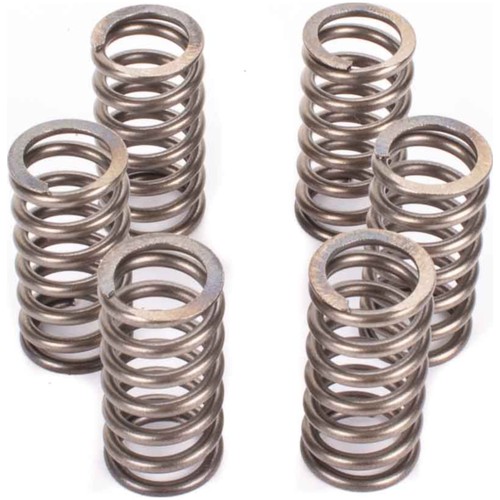 Clutch spring kit - spring, ebc