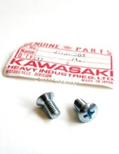 Kawasaki Headlight Headlamp