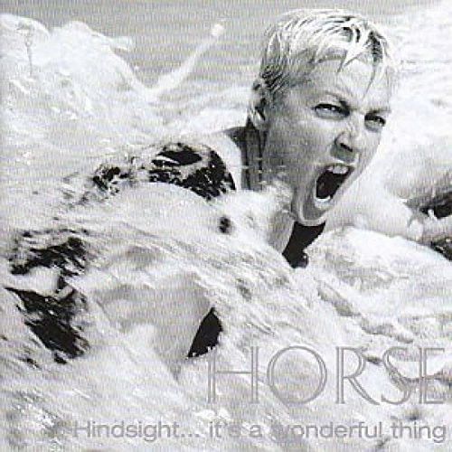 Horse hindsight it - -, a