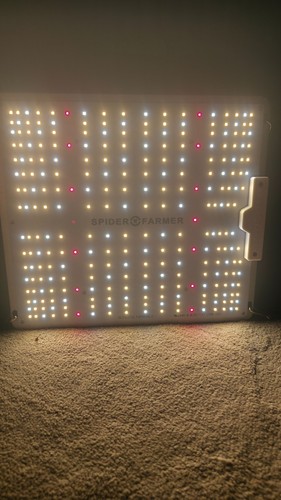 Spider farmer 1000 - spider, 100w