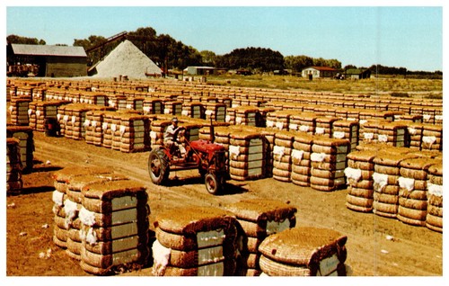 Vintage postcard bales - vintage, of