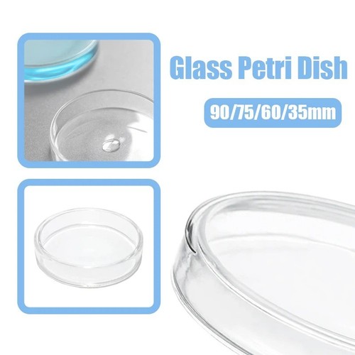 35mm petri bacterial - 90/75/60/35mm,