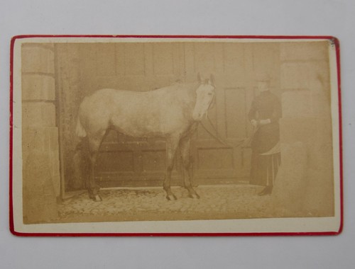 Cdv victorian lady - cdv, of