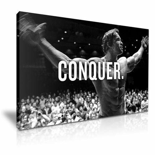 Arnold schwarzenegger conquer - arnold,