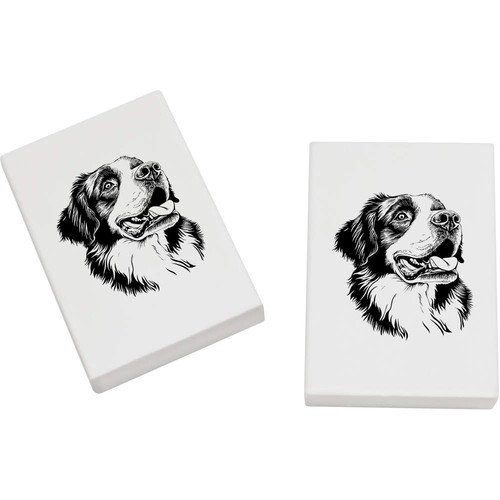 Bernard dog portrait - bernard, portrait'