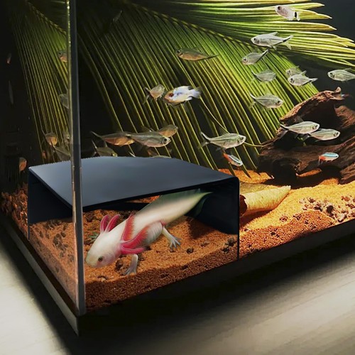 Aquarium corner cave - corner, hide