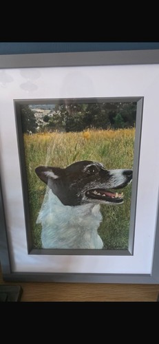 Pet portraits oil and - oil,
