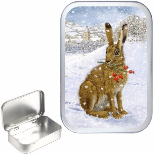Winter scene brown hare - winter,