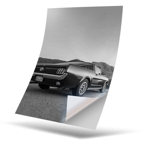 Vinyl sticker bw - sticker, a4