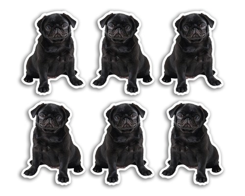 5cm pug vinyl - 6,