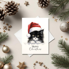 CUTE BLACK KITTEN  WHITE