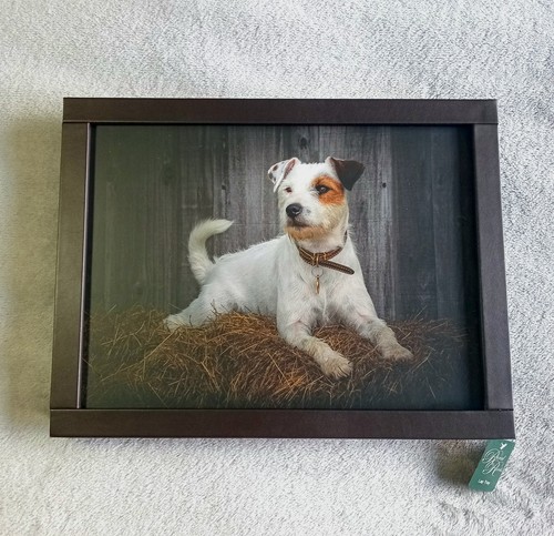 Jack russell dog lap tray - jack,