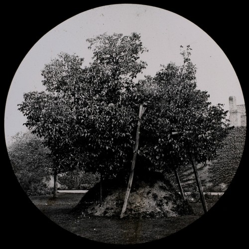 Early magic lantern slide - early,