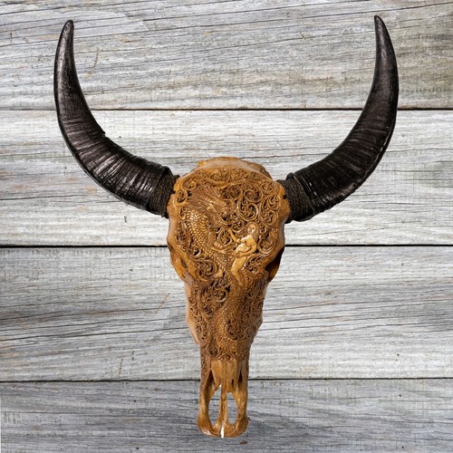 Large murrah buffalo skull - buffalo, &