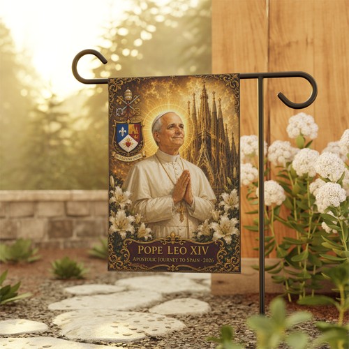 Pope leo xiv prayer - leo, portrait