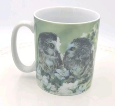 Otter House  Owl Chicks