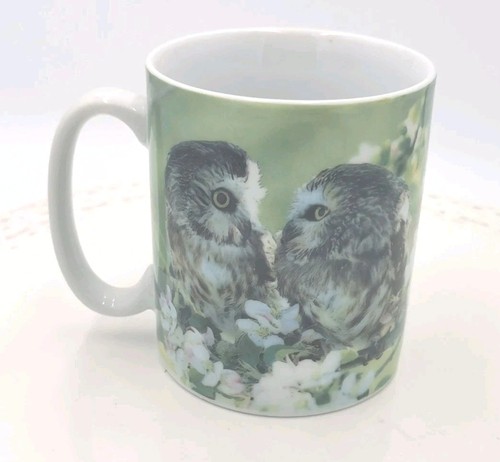 Otter house owl chicks - ,
