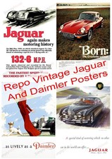 Repro Vintage Daimler Jaguar S