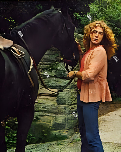 Robert plant led zeppelin - plant,
