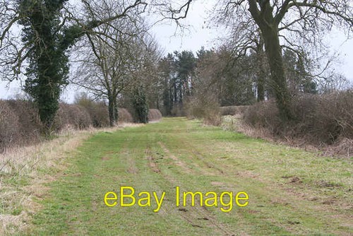 Photo 6x4 pinfold lane - pinfold,