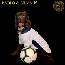 England Football Shirts for Dogs 2024/25 