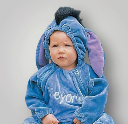 Disney winnie the pooh eeyore - winnie,