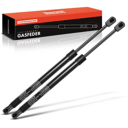 Premium rear tailgate gas - 2x,