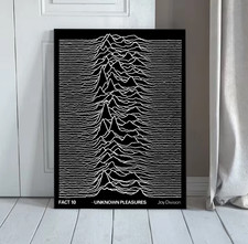 NEW JOY DIVISION Concert