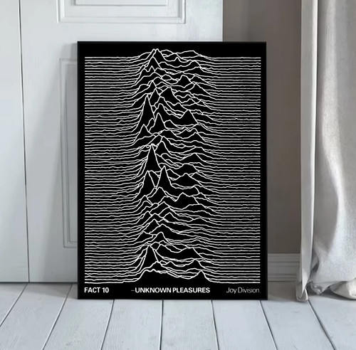 New joy division concert - new,