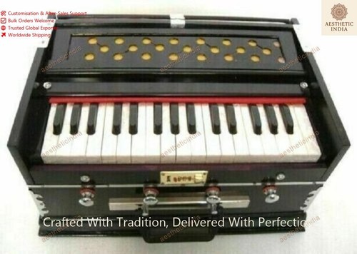 Indian musical instrument - indian,