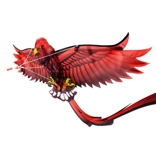 Eolo kites ready - ready, 2