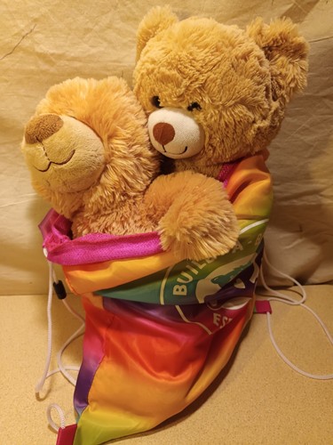 Two build bear - build,