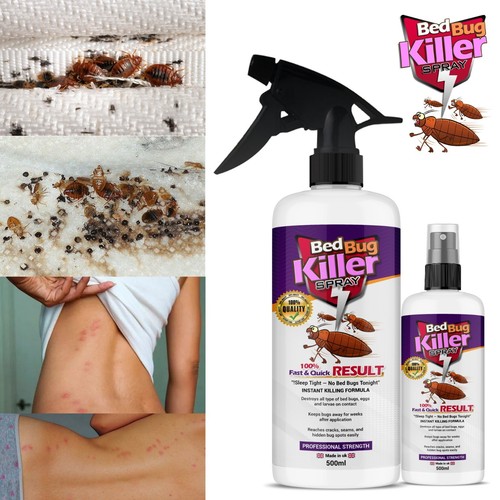 Bed bug killer spray - bug,